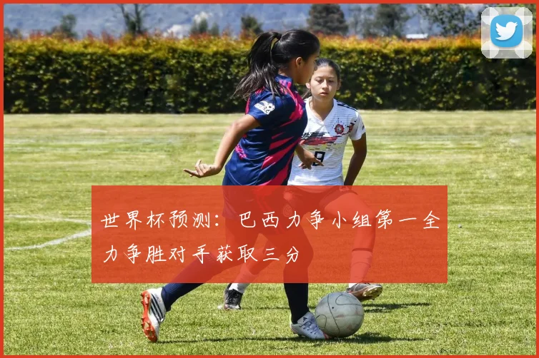 世界杯预测：巴西力争小组第一全力争胜对手获取三分