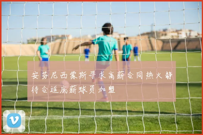 安芬尼西蒙斯寻求高薪合同热火静待合适底薪球员加盟