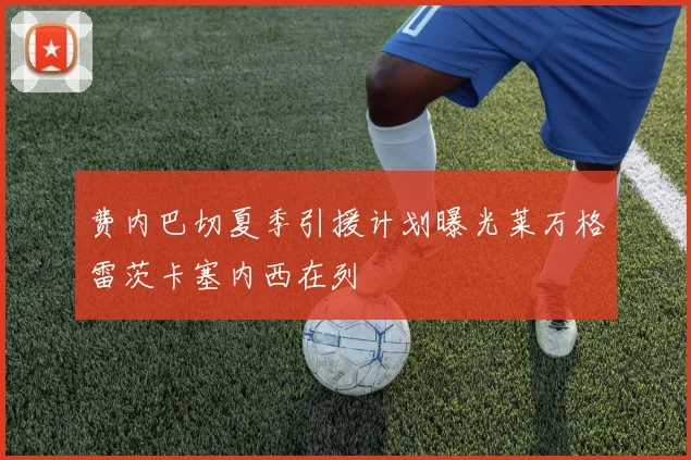 费内巴切夏季引援计划曝光莱万格雷茨卡塞内西在列